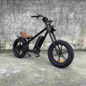 electric bicycle company factory
