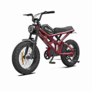 Electric Bike 16 Inch Foldable Bicycle factory