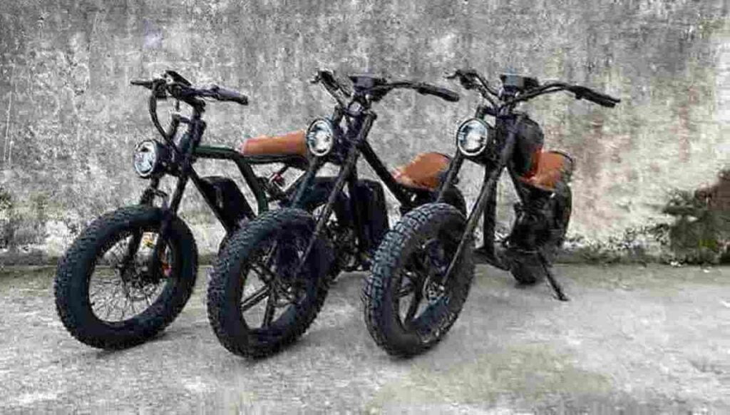 Electric Bike 48v factory