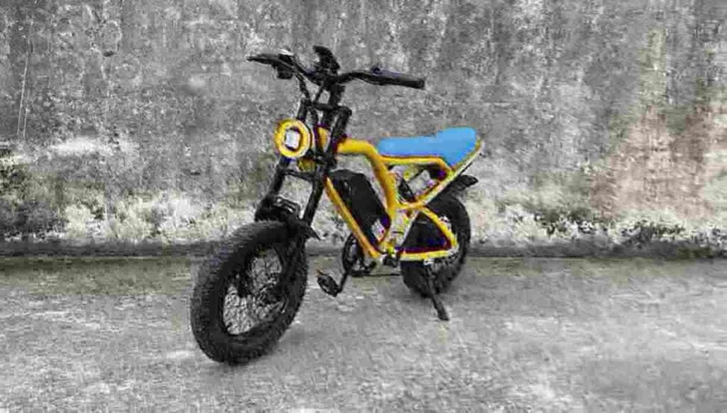 Electric Bike Fat Tire 750w factory