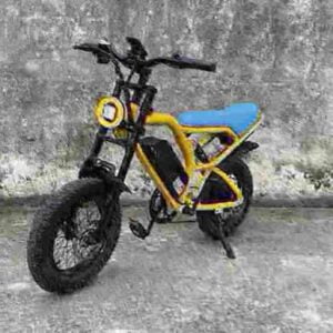 Electric Bike Fat Tire 750w factory