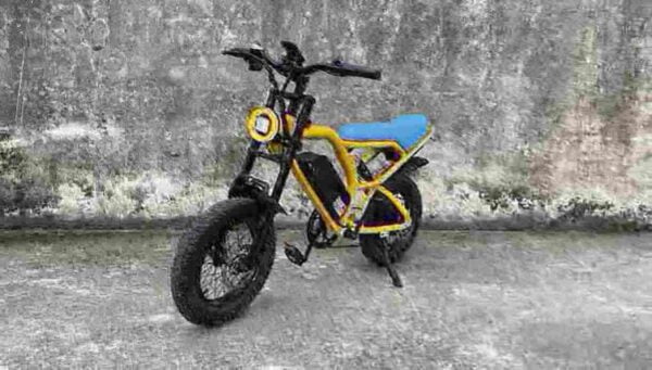 Electric Bike Fat Tire 750w factory