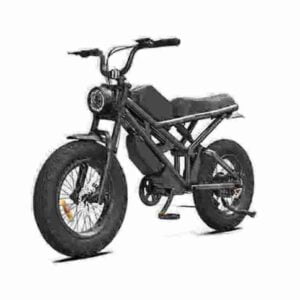 Electric Bike With Thick Tires factory