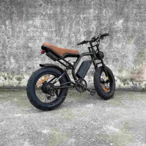 Electric Bikes Ebike Bicycles factory
