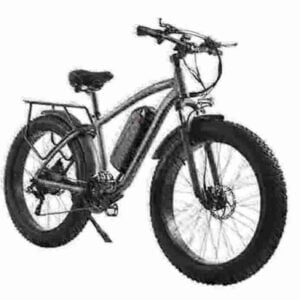 Electric Bikes For Adults Two Wheels factory