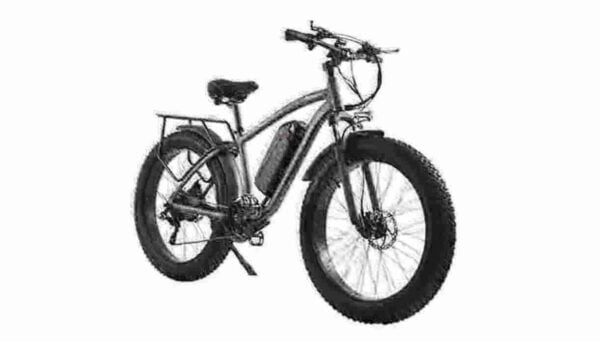 Electric Bikes For Adults Two Wheels factory