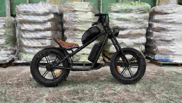 Electric Dirt Bike For Adults For Sale factory