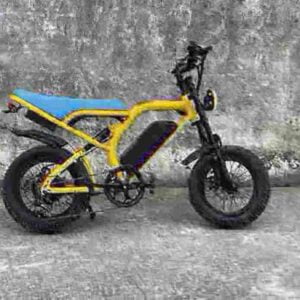 Electric Dirt Bike Top Speed factory