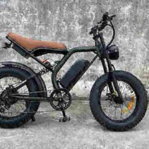 Electric Fat Bicycle factory