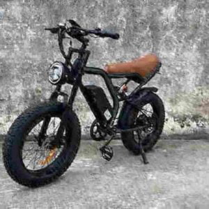 electric fat bike company factory