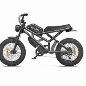 Electric Fat Bike For Sale factory