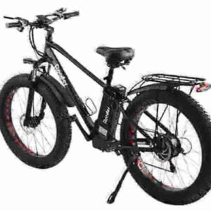 Electric Fat Tire Ebike factory