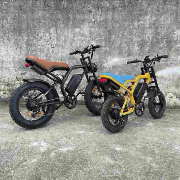 Electric Folding Bike factory