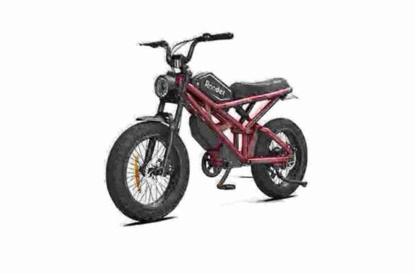 Electric Women’s Bicycles manufacturer factory dealer wholesale