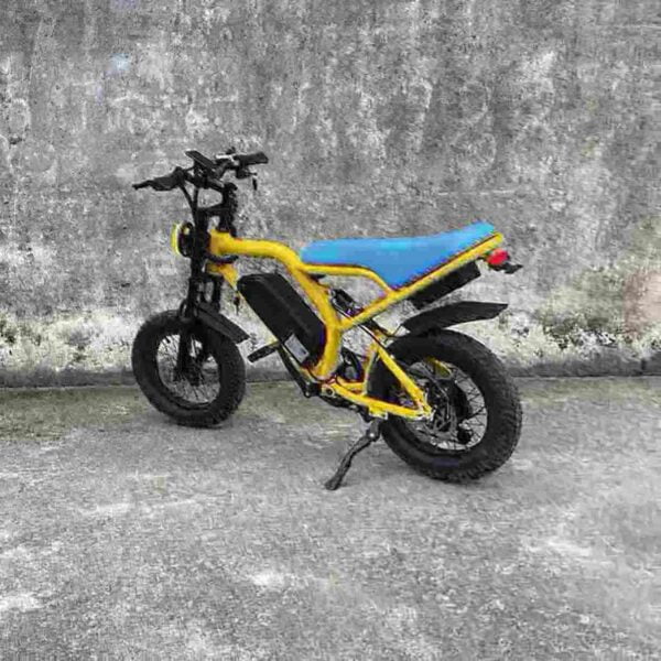 Fast Electric Bike factory