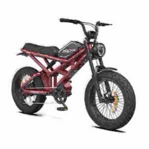 Fastest Electric Fat Bike factory