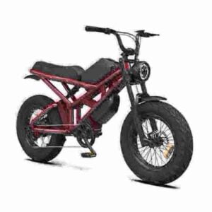 Fastest Electric Fat Tire Bike factory