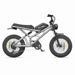 Fat E Bikes For Sale factory