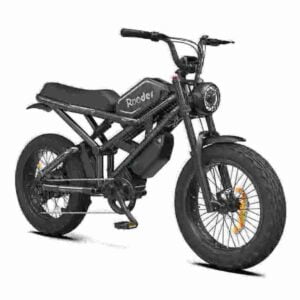 Fat Tire E Bike factory