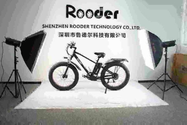 Fat Tire Electric Bicycle For Sale factory