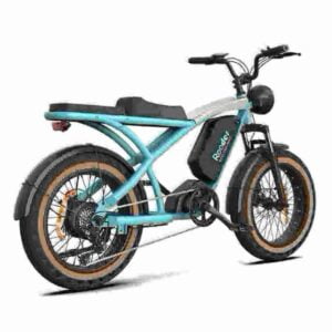 Fat Tire Electric Bike 750 Watt factory