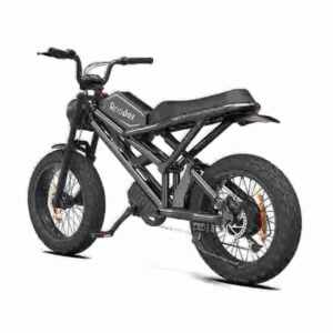 fat tyre electric bike factory