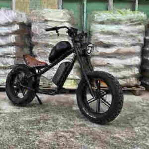 Folding 20 Inch Electric Bike factory
