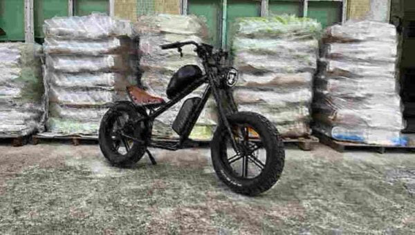 Folding 20 Inch Electric Bike factory