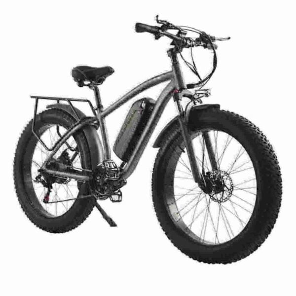 Folding Electric Bike 250w factory