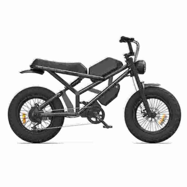 Folding Electric Bike Usa factory