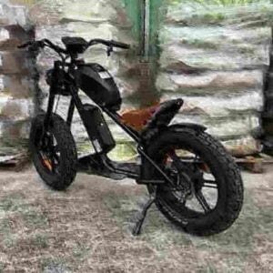 Folding Ladies Electric Bike factory