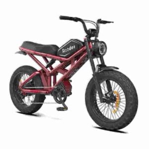 Folding Pedal Assist Bike factory
