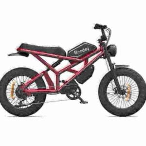 High Quality Fat Tire Electric Bike factory