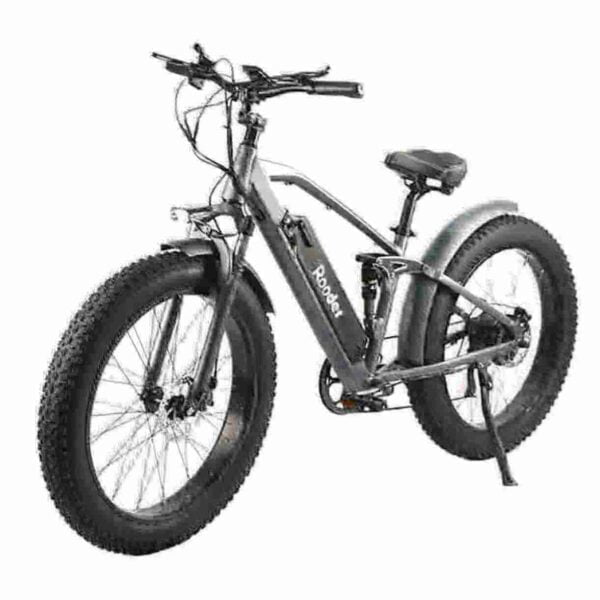 Large Tire Electric Bike factory