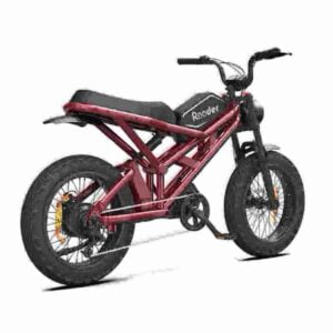 Lightweight Foldable Ebike factory