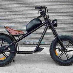 New Folding Electric Bike factory