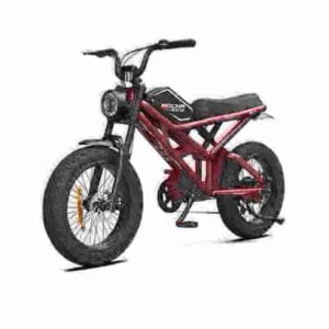 Off Road Fat Tire Electric Bike factory