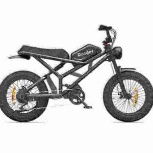 Portable Folding Electric Bicycle factory