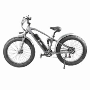 Road Fat Tire Electric Bike factory