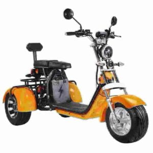 Rooder citycoco Citycoco Electric Scooter factory