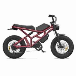 Wide Tire Electric Bike factory