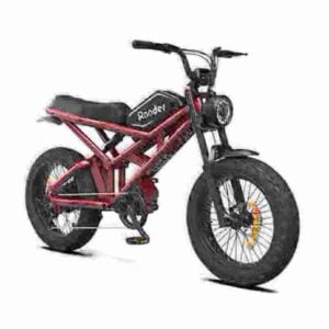 Womens Folding Electric Bike factory