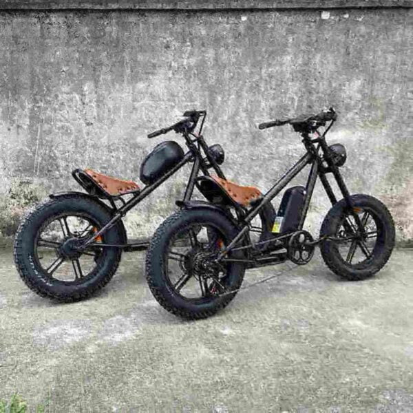 best electric bike for seniors factory