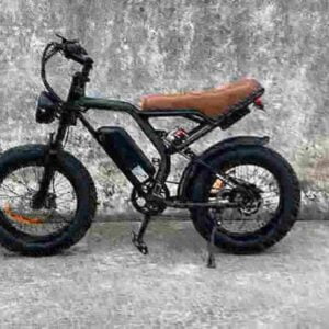 best fat tire electric bike 2024 factory