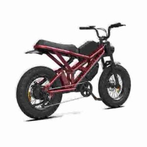 buy electric bicycle factory