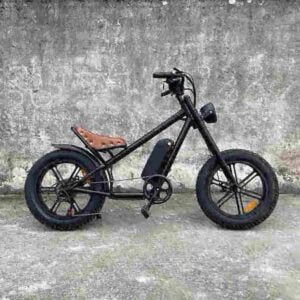 cheap electric bicycle factory