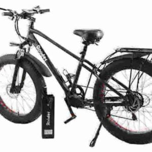 e bike price 3 wheels factory