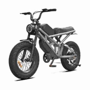 electric bicycles near me factory