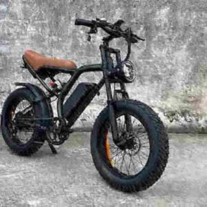 electric bike motors factory