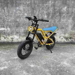 electric cargo bike factory